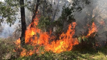 Welcome to BushFire Prone Planning - Bushfire Prone Planning - BAL ...